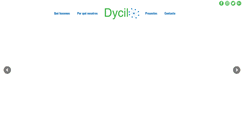 Desktop Screenshot of dycil.com